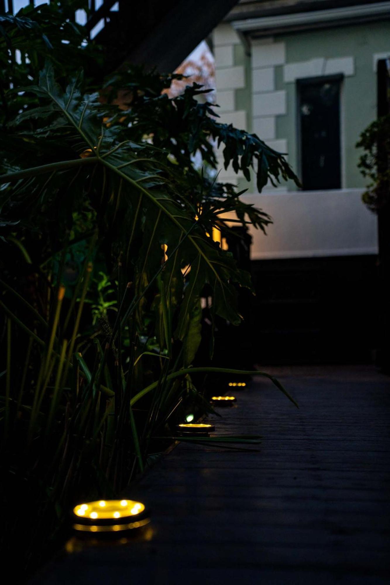 Point's Nest - Indulge In An Urban Oasis *